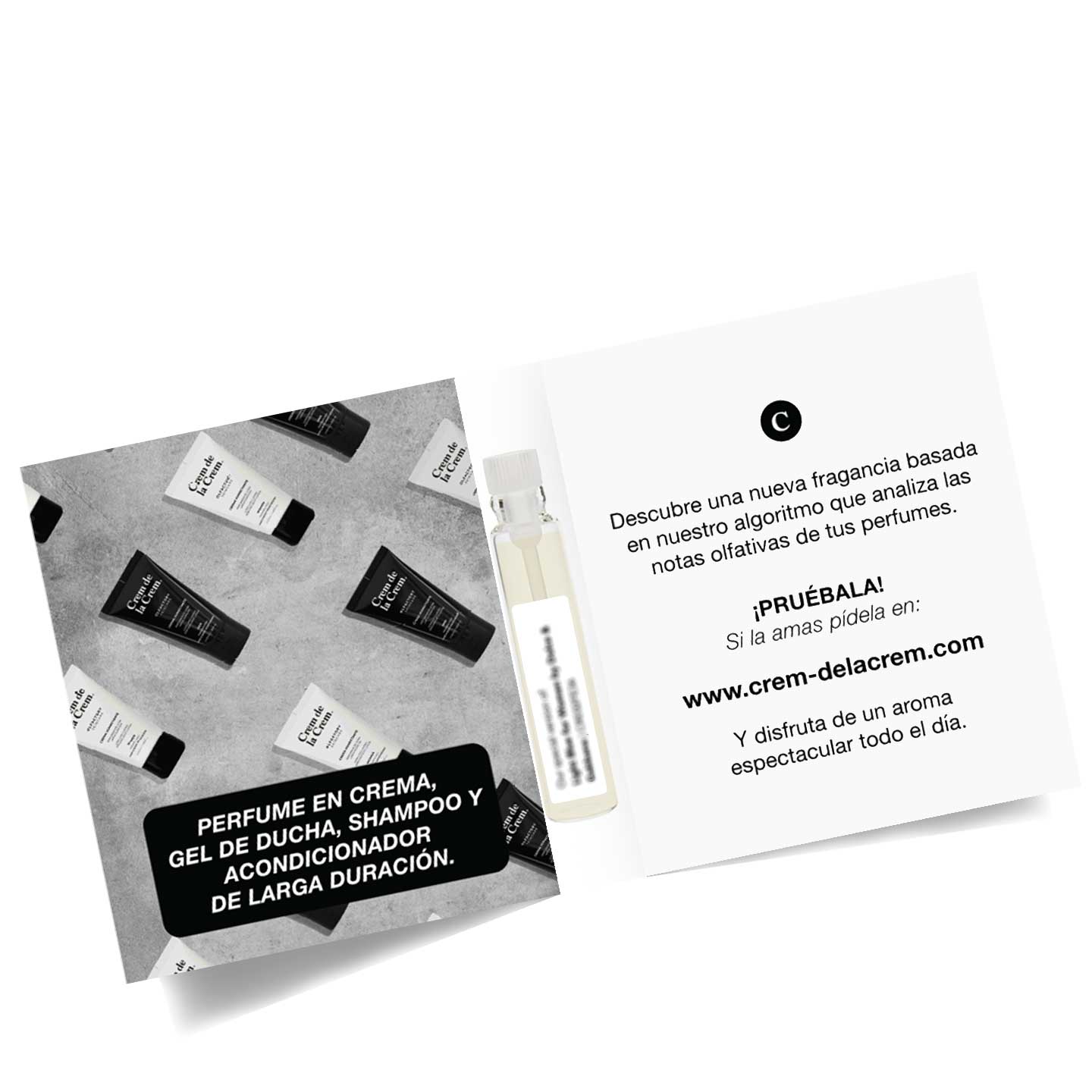 Provocative Harmony | Inspired by Contradiction for Women by Calvin Klein